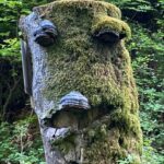 Visionsfindung Wald